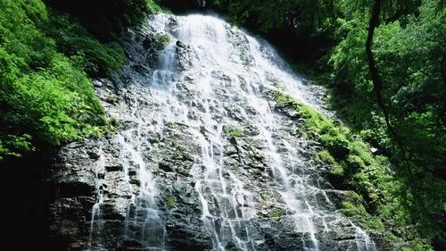 高效全自动稳定性